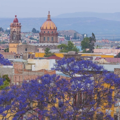 Picture of MEXICO, SAN MIGUEL DE ALLENDE JACARANDA AND CITY