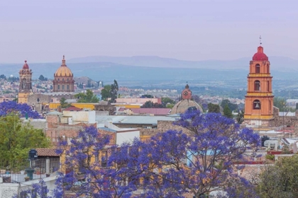 Picture of MEXICO, SAN MIGUEL DE ALLENDE JACARANDA AND CITY