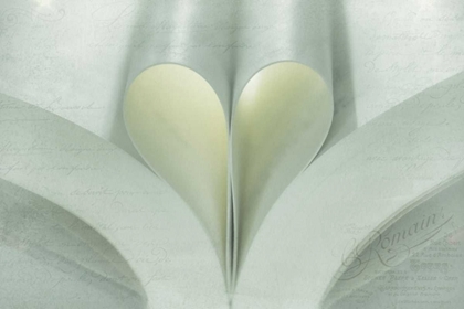 Picture of WA, SEABECK OPEN BOOK WITH PAGES FORMING A HEART