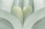 Picture of WA, SEABECK OPEN BOOK WITH PAGES FORMING A HEART