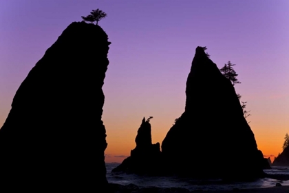Picture of WA, OLYMPIC NP SUNSET ON RIALTO BEACH SEA STACKS