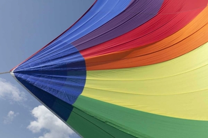 Picture of WA, SAN JUANS UNDERSIDE VIEW OF SPINNAKER FLYING