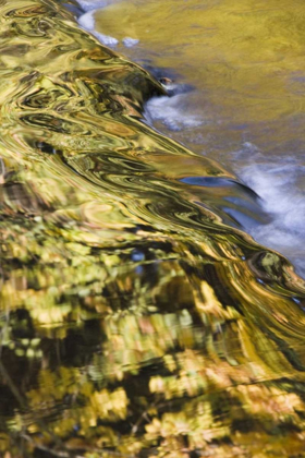 Picture of OR, LAKE CREEK GOLDEN REFLECTIONS ON CREEK WATER