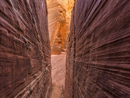 Picture of AZ, CANYON X FORMATIONS IN ERODED SANDSTONE ROCK