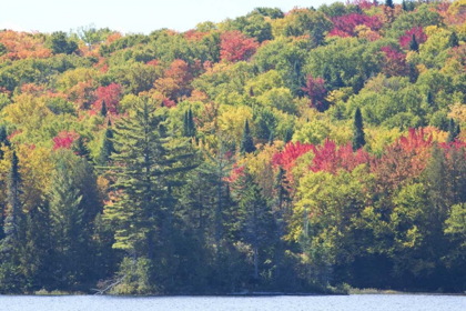 Picture of CANADA, QUEBEC FALL COLORS ALONG LAKE MONROE