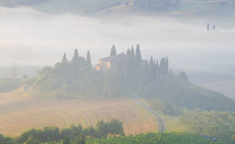 Picture of ITALY, TUSCANY BELVEDERE HOUSE IN MORNING FOG