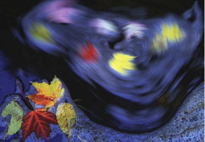 Picture of CANADA, QUEBEC AUTUMN LEAVES SWIRL IN A CREEK