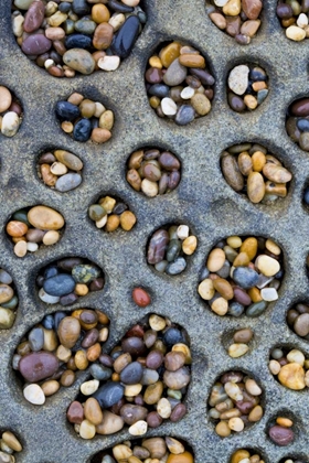 Picture of CA, TAFONI FORMATION HOLES FILLED WITH PEBBLES