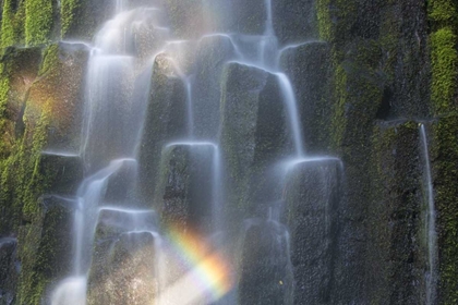 Picture of OR, PROXY FALLS WATERFALL RAINBOW OVER COLUMNS