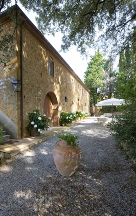 Picture of ITALY, TUSCANY, PETROIO TYPICAL TUSCAN FARMHOUSE