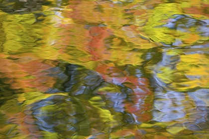 Picture of QUEBEC, CANADA AUTUMN REFLECTS ON WATER PATTERNS