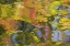 Picture of QUEBEC, CANADA AUTUMN REFLECTS ON WATER PATTERNS