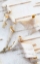 Picture of CANADA, MT ST-BRUNO PARK WHITE BIRCH BARK DETAIL