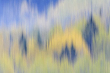 Picture of FINLAND, NUUKSIO NP ABSTRACT OF FALL COLOR TREES