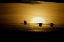 Picture of NEW MEXICO SILHOUETTES OF SANDHILL CRANES FLYING