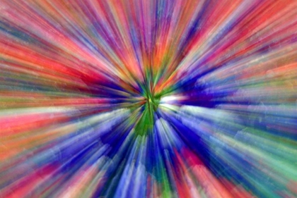 Picture of ABSTRACT ZOOM ABSTRACT OF PANSY FLOWERS