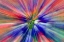Picture of ABSTRACT ZOOM ABSTRACT OF PANSY FLOWERS