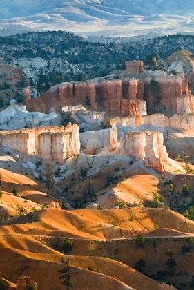 Picture of USA, UTAH HOODOO FORMATIONS IN BRYCE CANYON NP