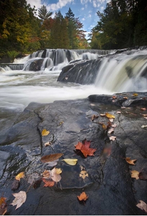 Picture of MICHIGAN, UPPER PENINSULA BOND FALLS IN AUTUMN