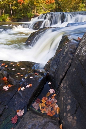 Picture of MICHIGAN, UPPER PENINSULA BOND FALLS IN AUTUMN