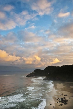 Picture of OREGON HECETA HEAD LIGHTHOUSE IN MORNING LIGHT