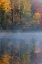 Picture of MI, THORNTON LAKE WITH FOG AND TREE REFLECTIONS