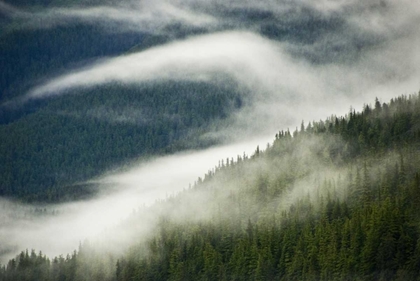 Picture of AK, INSIDE PASSAGE FOG PATTERN OVER A MOUNTAIN