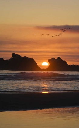 Picture of OREGON BIRDS FLY OVER SUNSET BETWEEN SEA STACKS