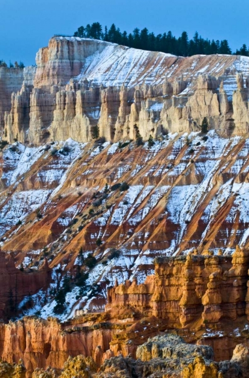 Picture of UTAH SNOWY HOODOO FORMATIONS IN BRYCE CANYON NP