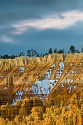 Picture of UTAH SNOWY HOODOO FORMATIONS IN BRYCE CANYON NP