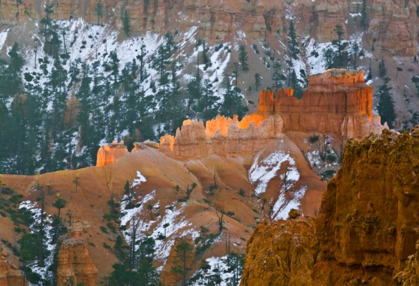 Picture of UTAH SNOWY HOODOO FORMATIONS IN BRYCE CANYON NP