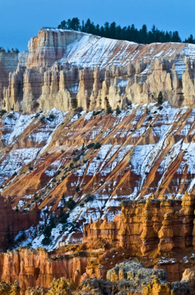 Picture of UTAH SNOWY HOODOO FORMATIONS IN BRYCE CANYON NP