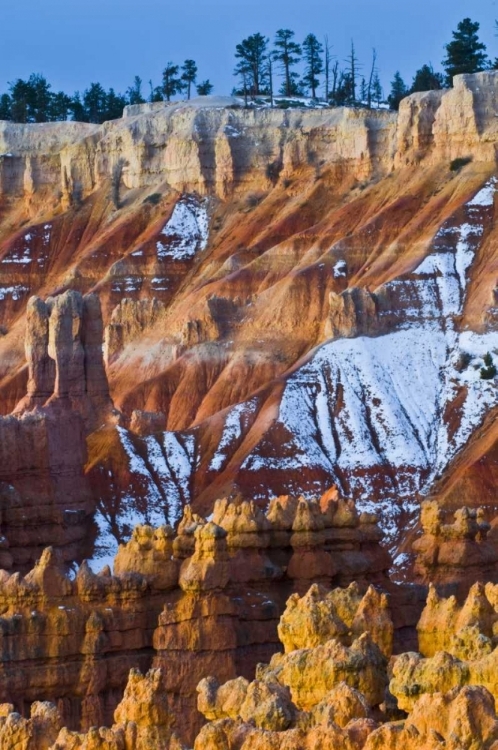 Picture of UTAH SNOWY HOODOO FORMATIONS IN BRYCE CANYON NP