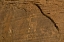 Picture of UTAH, MONUMENT VALLEY PETROGLYPHS ON STONE WALL