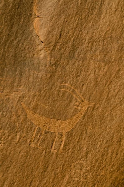 Picture of UTAH, MONUMENT VALLEY PETROGLYPHS ON STONE WALL