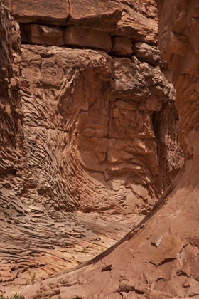 Picture of AZ, GRAND CANYON, PATTERN IN SANDSTONE FORMATIONS