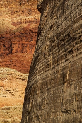 Picture of AZ, GRAND CANYON, SANDSTONE WALL IN MARBLE CANYON