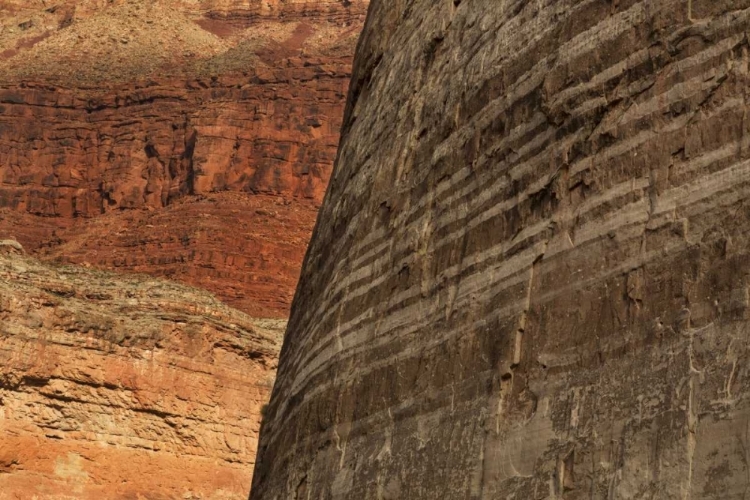 Picture of AZ, GRAND CANYON, SANDSTONE WALL IN MARBLE CANYON