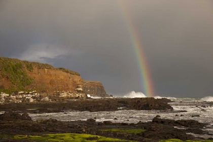 Picture of NEW ZEALAND, SOUTH ISLAND RAINBOW OVER CURIO BAY