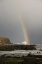 Picture of NEW ZEALAND, SOUTH ISLAND RAINBOW OVER CURIO BAY