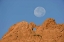 Picture of CO, COLORADO SPRINGS MOON SETS BEHIND FORMATIONS