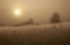 Picture of CO, COLORADO SPRINGS, PALMER PARK FOG OVER FIELD