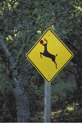 Picture of CA, RUDOLPH THE REINDEER CROSSING SIGN ON HIGHWAY