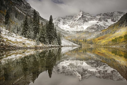 Picture of CO, WHITE RIVER NF, MORNING ON MAROON BELLS PEAKS