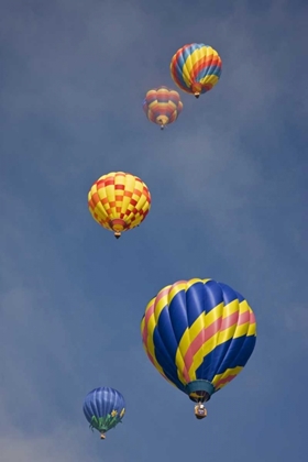 Picture of CO, COLORADO SPRINGS HOT AIR BALLOONS IN MORNING