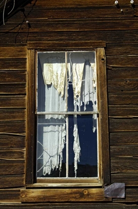 Picture of CA, BODIE SP, TATTERED DRAPES HANG IN A WINDOW