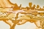 Picture of OREGON CLOSE-UP OF OWYHEE PICTURE JASPER STONE