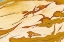 Picture of OREGON CLOSE-UP OF OWYHEE PICTURE JASPER STONE