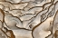 Picture of OREGON, BIGGS CLOSE-UP OF PICTURE JASPER STONE