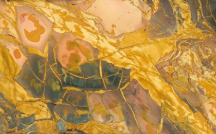 Picture of OREGON, OWYHEE RIVER VALLEY MORRISONITE JASPER